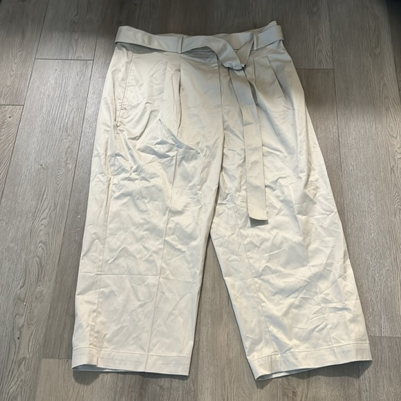 NWOT! Banana Republic Natural Stone Gray Cruz Pleated Wide-Leg Chino - Size 20 💎 - Picture 5 of 7